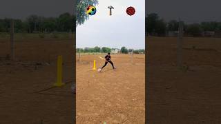 Timed Task Run !!