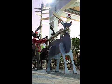ADF | Messages Christmas messages from our people #Shorts