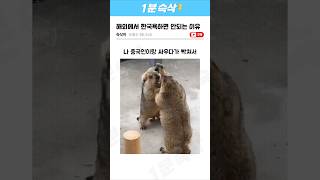 해외에서 한국욕하면 안되는 이유