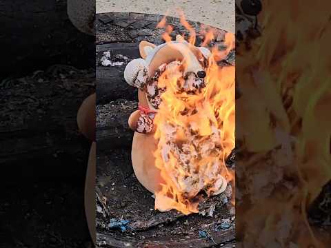 Burning a Cute Dog Squishmallow 🔥 #shorts