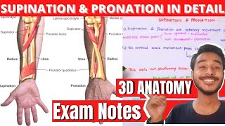 Supination and pronation of hand Anatomy