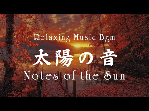 Notes of the Sun - Relaxing Music BGM - 太陽の音符 (Official Music Video)