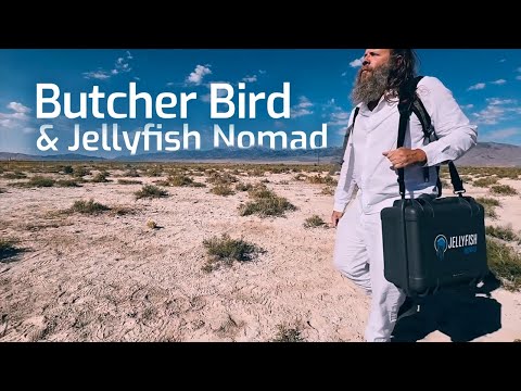 Butcher Bird’s video editing team taking OWC Jellyfish Nomad in the desert and on a plane.