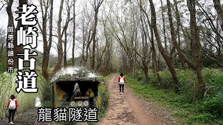 老崎古道 (頭份後花園步道) ~ 楓香林裡的手榴彈投擲場、扶桑花龍貓隧道、楓林吊橋、老崎坪頂山