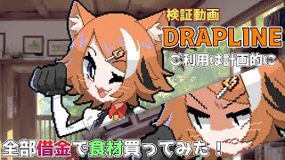 【検証動画】全部借金で食材買ってみた！『 DRAPLINE 』
