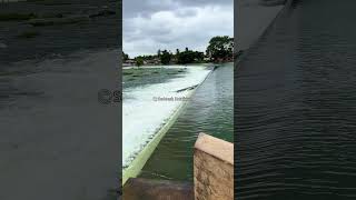 Balamuri Falls, June 2025, Kavri River,, Belagola Srirangapattana, Mandya Karnataka near Mysuru