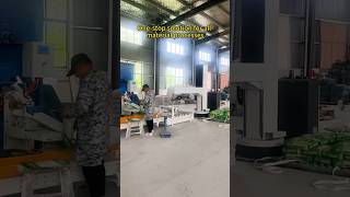 One-stop Chinese production line: From transfer to handling! #factorydirect #manufacturingequipment