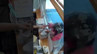 小小外送員1舉動 暖翻飲料店員一整天 @吃瓜第一排teatime 1080p