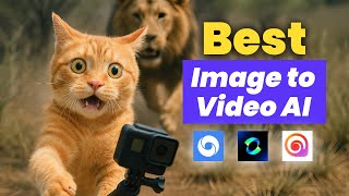 3 Best Image to Video AI Tools Compared | Veo 3 VS Hailuo AI VS Kling AI
