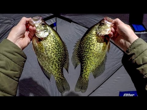 Ice Fishing Evening Crappie Bite!