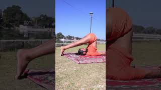 halasana हलासन #yoga #yogi #feed #india #hathayoga #shotrs #halasana