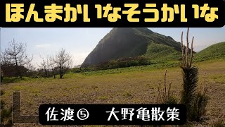 佐渡⑤　大野亀散策　佐渡島の北の端にある大野亀、という岩の界隈を散策日本海の絶景　火サス感　美しいトビシマカンゾウが一輪　（風の音注意）