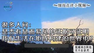 D237：很多人问：是否有显而易见的证据可证明我们生活在矩阵构建的世界中？其实这样的证据到处都是，只是角色脑中有主动忽略显像Bug的相关设定。