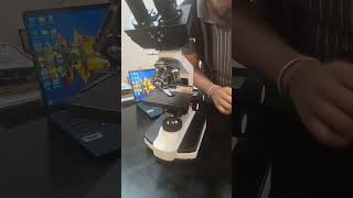 2500x magnification labpro brand- microscope - with camera 3 megapixel 2024 top model laboratorydeal