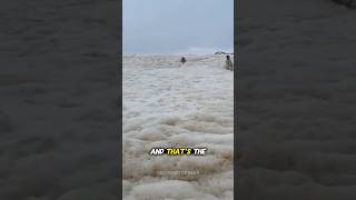 What Is Sea Foam? #shorts #youtubeshorts #facts #viralfacts