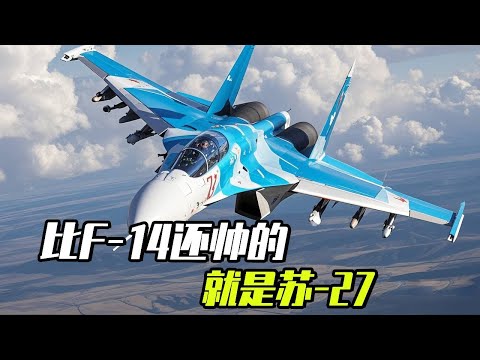 It must be admitted that the Su-27 is more handsome than the F-14  especially the Su-27 with cobra