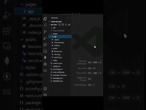 Next JS App with javascript & page router