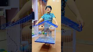 Shaheer real parrots🦜le aaya #shorts #shortvideo #parrot #shaheerjutt