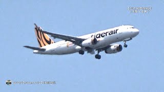 【2024記錄】05/02〈精誠遠眺〉國際航線（香港快運、臺灣虎航、星宇航空、華信航空、大韓航空、越捷航空）國內航線 IDF戰機。