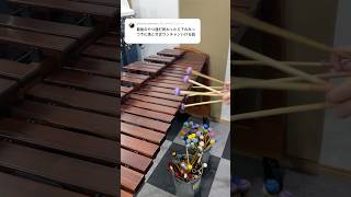 今年も挑戦しているマリンバ奏者 #マリンバ #打楽器 #吹奏楽