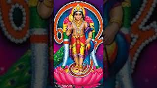 ஓம் சரவணபவ.. #முருகன்துணை #முருகா #முருகன் #முருகப்பெருமான் #முருகன்வழிபாடு #சரவணபவ