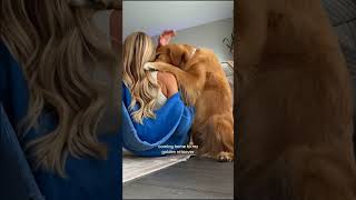 #dogstagram  #dogsmating #dogshowling #dogscrying #dogkiss #dogsofinstagram #dogkisses #kiss