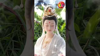 Lậy Mẹ Quan Âm #phatphap #buddha #adidaphat #phatphaptubi