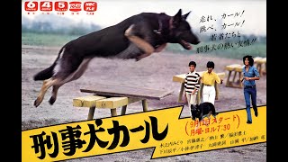 警犬卡尔！你还记得童年记忆中的那只大狼狗吗？