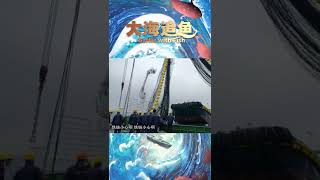 巨型渔网可以有多大？《大海追鱼》【CCTV纪录】