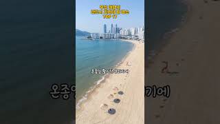 부산 여행시 반드시 가봐야 할 명소 TOP 17 #여행 #여행지 #국내여행