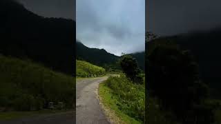 Riverston nature in srilanka #ceylon #travel #rivershorts #nature #fypシ゚viral #trendingshorts