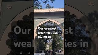 #day55 #quoteforyou #nature #changeyourmindsetchangeyourlife