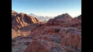 Mountain Survival (Our Training Scenarios)