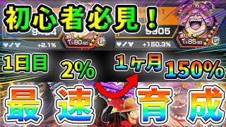リセマラから１ヶ月で１５０％！？爆速育成方法を伝授！！【バウンティラッシュ】【ゆっくり実況】