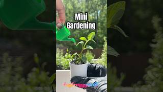 Miniature Gardening | Time to put those mini garden tools to work 🪴and see if they actually work