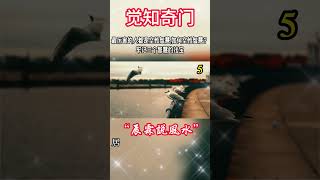 5.最厉害的人都是空性智慧,如何空性智慧？牢记三个智慧的法宝 #宇宙 #精神 #財富 #修行#能量#業力#靈魂 #第五維度#生命 #振動 #靈性 #覺醒