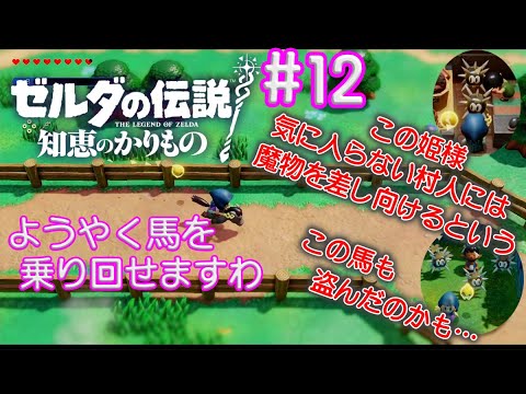 光の力、お借りします！【ゼルダの伝説 知恵のかりもの】#12