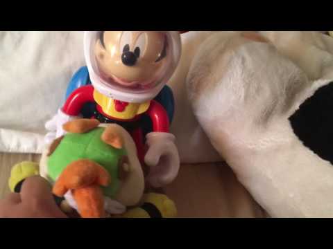Bowser junior and the austronut