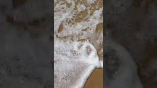 越南Vietnam🇻🇳美奈海灘Mui Ne beach🏝️