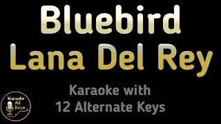 Lana Del Rey - Bluebird Karaoke Instrumental Lower Higher Male & Original Key