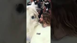 #JaredLeto dresses as a cat at the #MetGala