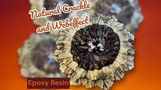 #450 EN: Natural Crackle and Webeffect | #epoxyresin
