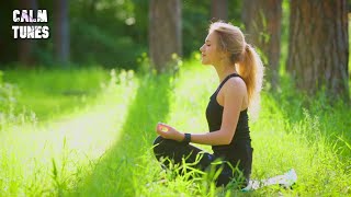 Soothing Relaxation, Seep Relaxing Music, Good Mediation Music - Calm Tunes