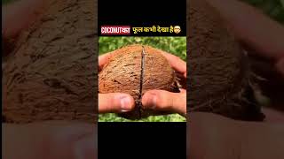 The Most Unique Coconut 😯 #shorts​ #facts​ #mirjaexplain​