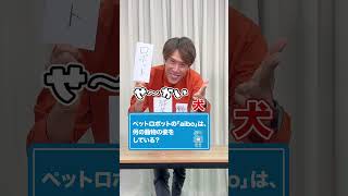 くじ引きで得意ジャンルを当てて！クイズチャレンジ！【後編】 #Ｓｋｙ株式会社 #QuizKnock #Shorts