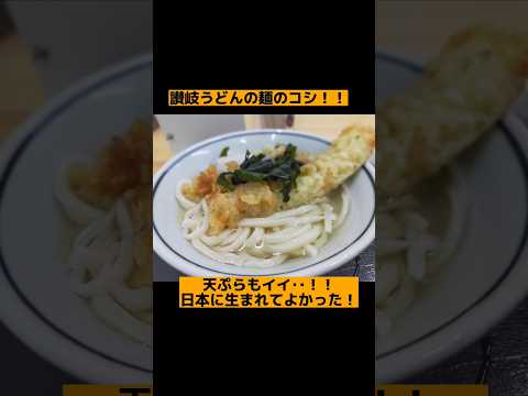 【絶品グルメ】安いうまい！讃岐うどん　#讃岐うどん#香川グルメ#グルメ好き# コスパ飯#旅行好き#udon #japanfood #sanukiudon #travellover#shorts