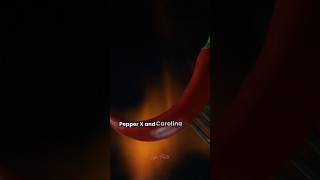 This Chili Pepper Could Actually Kill You #lifefacts #facts #shorts