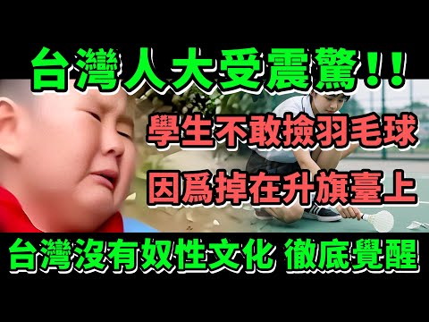 台灣人大受震驚，學生不敢撿羽毛球，因爲掉在升旗臺上，台灣沒有奴性文化，台灣人徹底覺醒 | Reaction Video