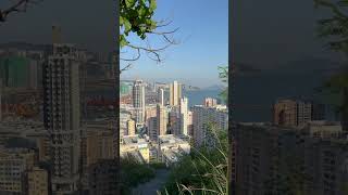 何文田紅燈山｜新手行山路線｜香港好去處｜何文田配水庫｜隱世行山路線｜靠背壟山｜慢遊香港｜行山入門｜市區行山｜秋天郊遊路線｜何文田｜土瓜灣｜Red Light Hill｜香港草地｜獅子山｜香港真係好靚