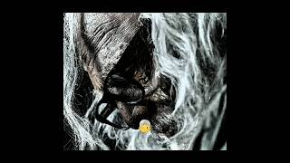 Dhumketu Movie Teaser Best Edit ☠ #dhumketu #dev #teaser #trailer #shorts